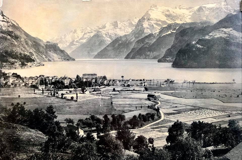 Blick auf Dorf und Urnersee